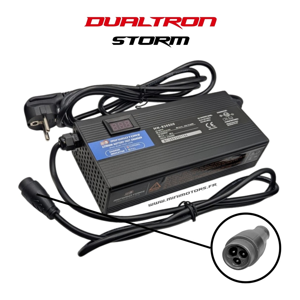 DUALTRON NEW STORM LTD & X LTD | CHARGEUR RAPIDE 95.4V 4A (LP 16)