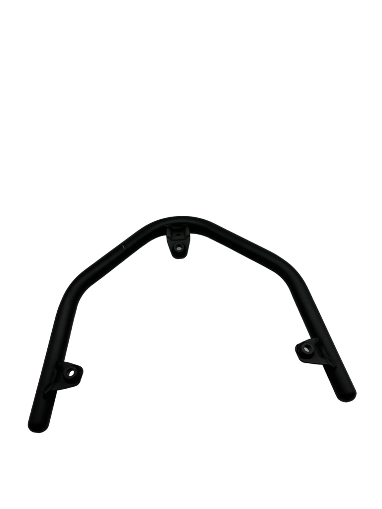 SK1 PASSENGER HANDLE