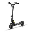 PATINETE ELÉCTRICO DUALTRON Togo 36 V 12 A