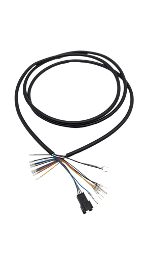 [DLT01422] Cable Dualtron | EY4 V1