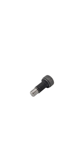 [DLT01476] DUALTRON AMINIA DUAL MOTOR | STEERING COLUMN SCREW