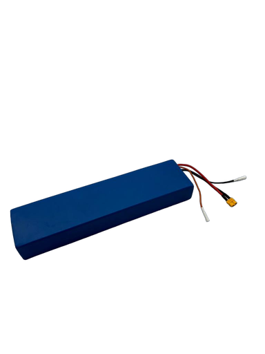 [DLT01089] DUALTRON TOGO | BATTERIE 36V 12AH